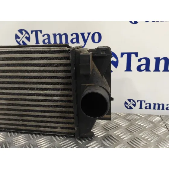 Intercooler para Mercedes-Benz Sprinter Ii James Cook (906)
