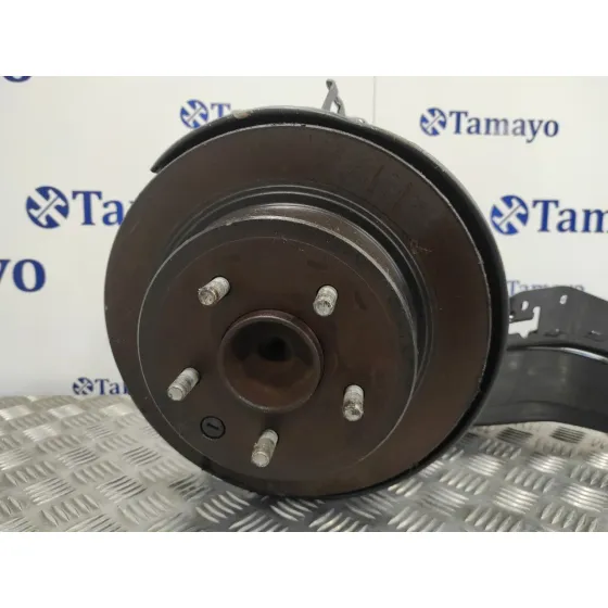 Mangueta Trasera Derecha para Nissan Qashqai (J10)
