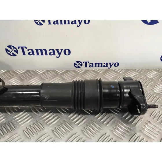 Amortiguador Trasero Derecho para Mercedes-Benz Clase R (W251)