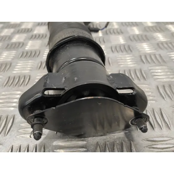 Amortiguador Trasero Izquierdo para Mercedes-Benz Clase R (W251)
