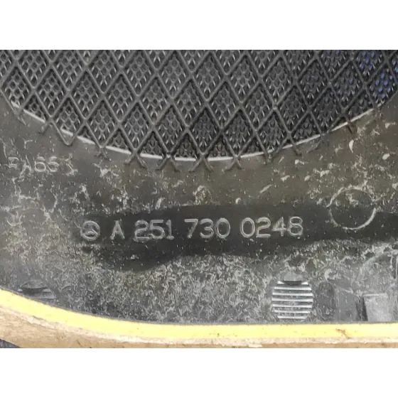 Guarnecido Puerta Trasera Derecha para Mercedes-Benz Clase R (W251)