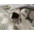 Motor Limpia Delantero para Peugeot 406 Coupe (S1/S2)