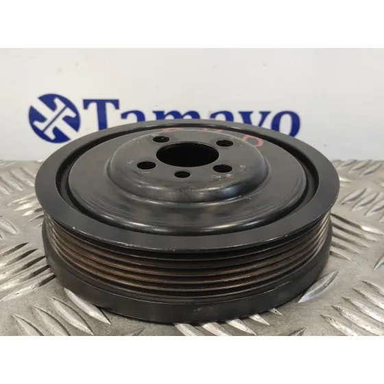 Polea Ciguenal para Seat Leon (1P1)
