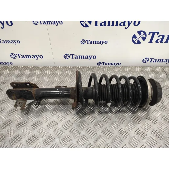 Amortiguador Delantero Derecho para Suzuki Sx4 Rw (Ey)