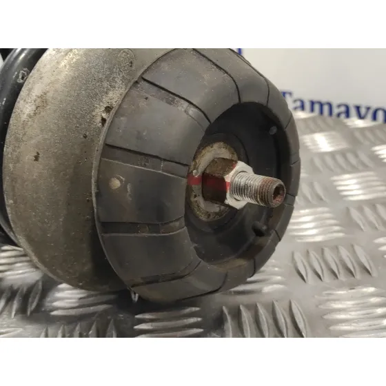 Amortiguador Delantero Derecho para Suzuki Sx4 Rw (Ey)
