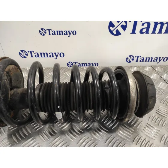 Amortiguador Delantero Derecho para Suzuki Sx4 Rw (Ey)