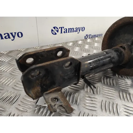 Amortiguador Delantero Derecho para Suzuki Sx4 Rw (Ey)