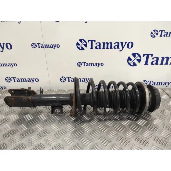 Amortiguador Delantero Izquierdo para Suzuki Sx4 Rw (Ey)