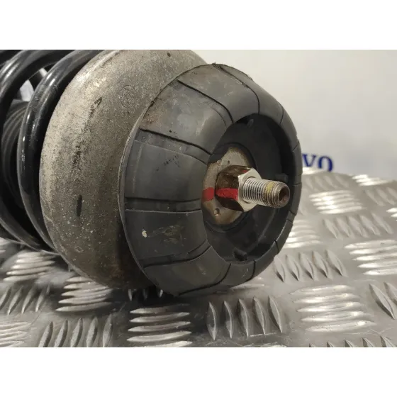 Amortiguador Delantero Izquierdo para Suzuki Sx4 Rw (Ey)