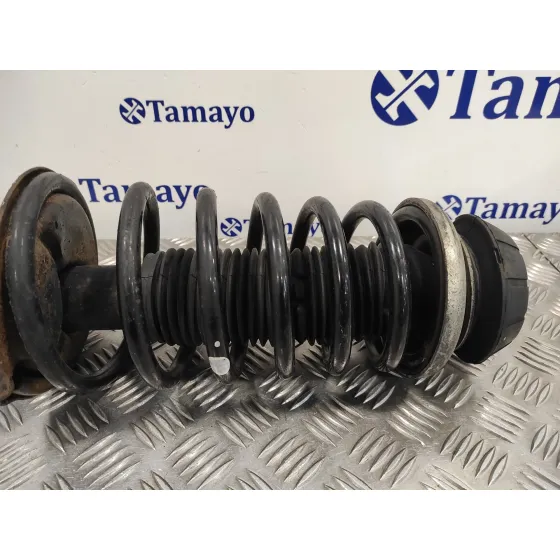 Amortiguador Delantero Izquierdo para Suzuki Sx4 Rw (Ey)