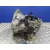 Caja Cambios para Kia Picanto