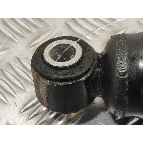 Amortiguador Trasero Izquierdo para Fiat Ducato Furgon