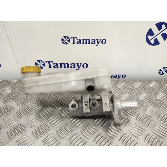 Bomba Freno para Fiat Ducato Furgon