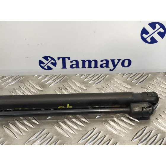 Amortiguadores Maletero / Porton para Renault Megane Iii Coupe