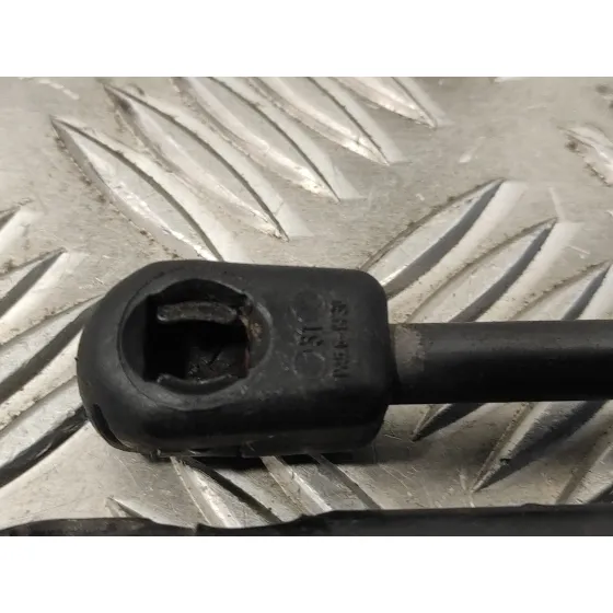 Amortiguadores Maletero / Porton para Renault Megane Iii Coupe
