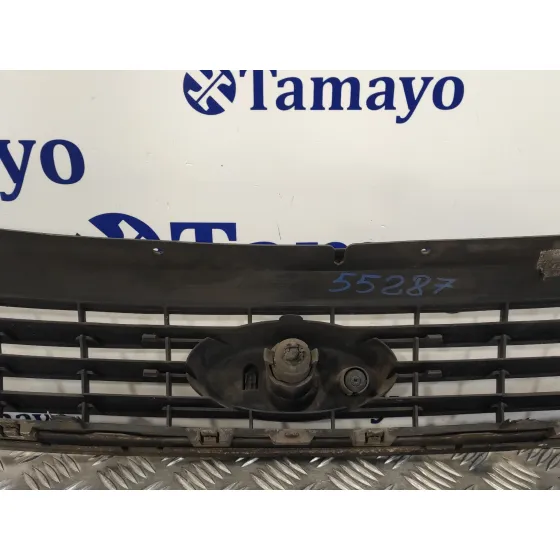 Rejilla Delantera para Ford C-Max (Cb3)