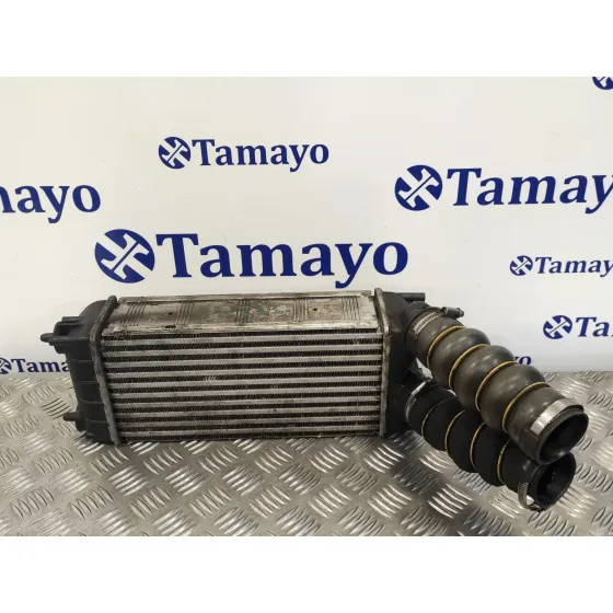 Intercooler para Peugeot 5008