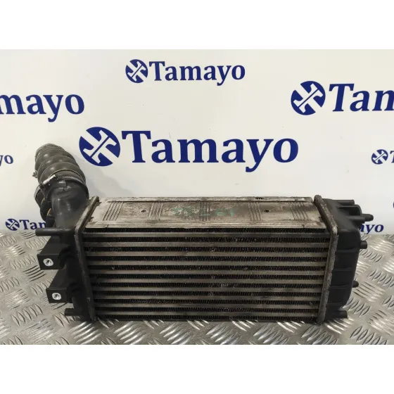 Intercooler para Peugeot 5008