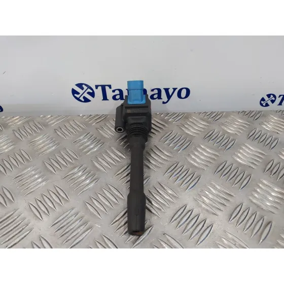 Bobina Encendido para Fiat 500 (312)