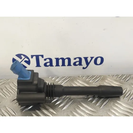 Bobina Encendido para Fiat 500 (312)