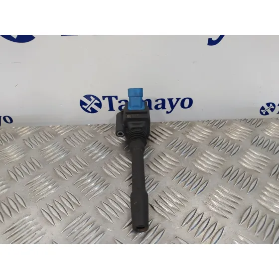 Bobina Encendido para Fiat 500 (312)