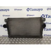 Intercooler para Seat Alhambra (7V9)