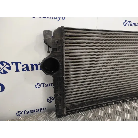 Intercooler para Seat Alhambra (7V9)