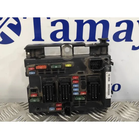 Caja Reles / Fusibles para Peugeot 307 (S1)