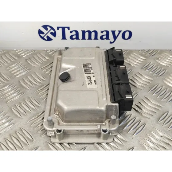 Centralita Motor Uce para Peugeot 307 (S1)