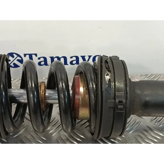 Amortiguador Delantero Derecho para Mercedes-Benz Clase S Coupe (C215)