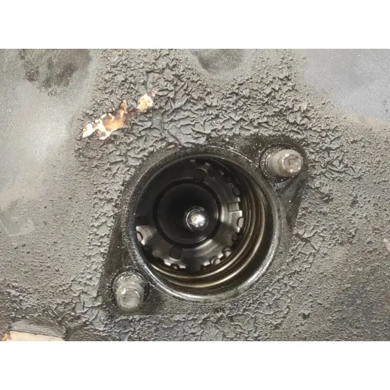 Servofreno para Renault Grand Modus