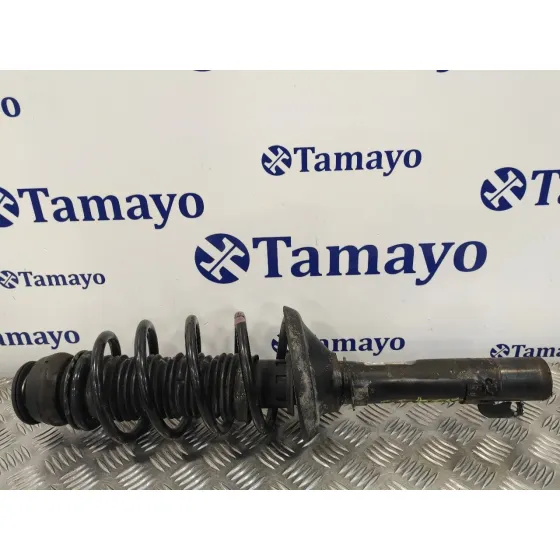 Amortiguador Delantero Derecho para Seat Toledo (1M2)