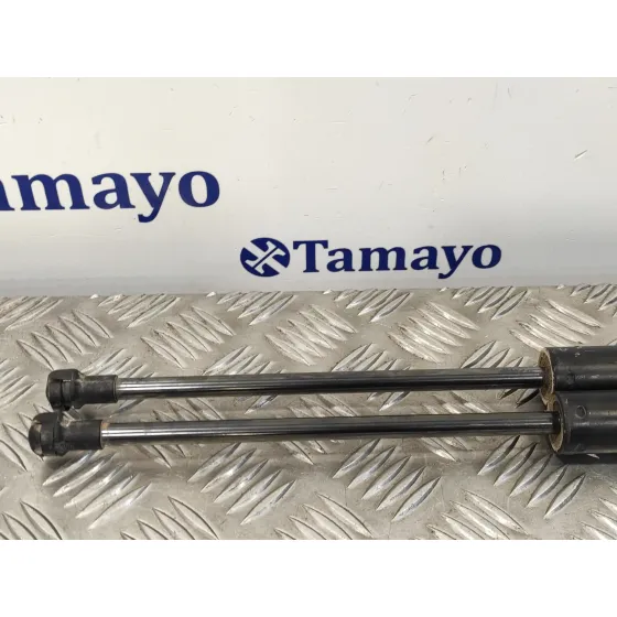 Amortiguadores Maletero / Porton para Nissan Nv 200 (M20)