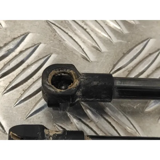 Amortiguadores Maletero / Porton para Nissan Nv 200 (M20)