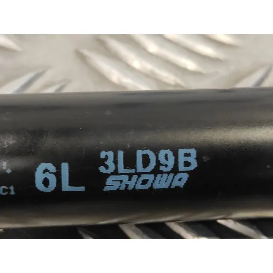 Amortiguadores Maletero / Porton para Nissan Nv 200 (M20)
