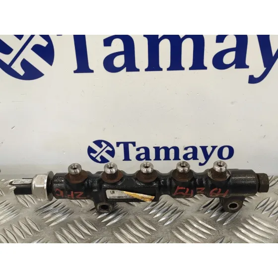 Rampa Inyectora para Peugeot 407