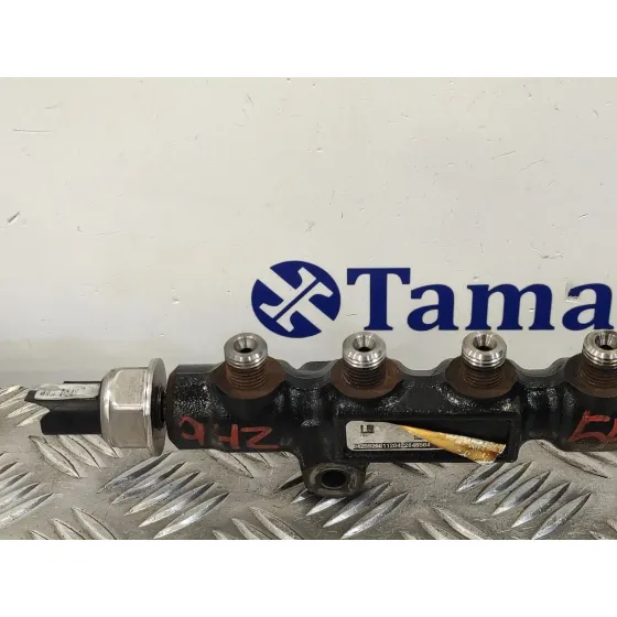 Rampa Inyectora para Peugeot 407