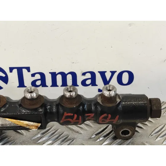 Rampa Inyectora para Peugeot 407
