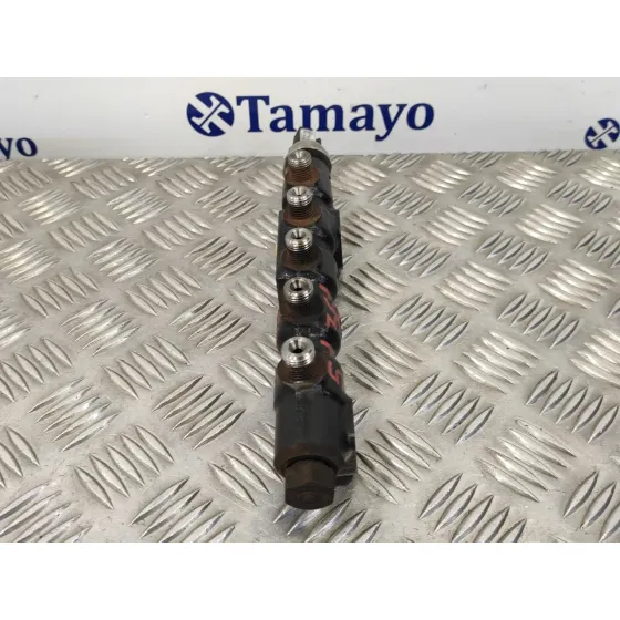 Rampa Inyectora para Peugeot 407