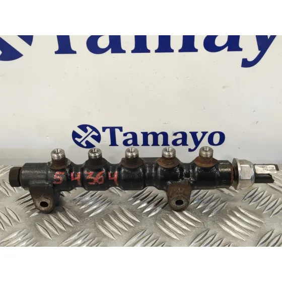 Rampa Inyectora para Peugeot 407