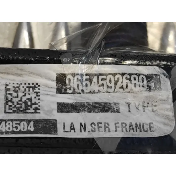 Rampa Inyectora para Peugeot 407