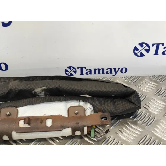 Airbag Cortina Delantero Derecho para Renault Megane Iii Coupe