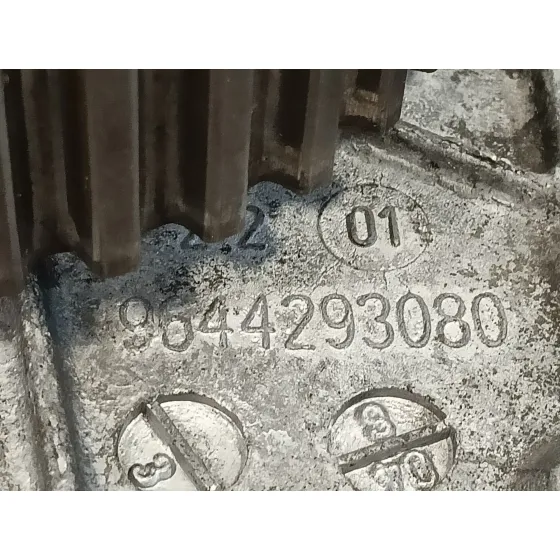 Bomba Inyeccion para Peugeot 407