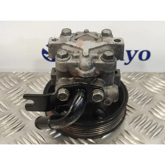 Bomba Direccion para Hyundai Santa Fe (Bm)