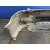 Paragolpes Delantero para Renault Laguna Ii (Bg0)