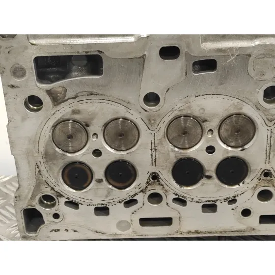 Culata para Bmw Serie 3 Berlina (E90)