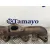 Colector Escape para Hyundai Santa Fe (Bm)
