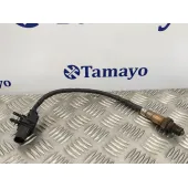 Sonda Lambda para Hyundai Santa Fe (Bm)