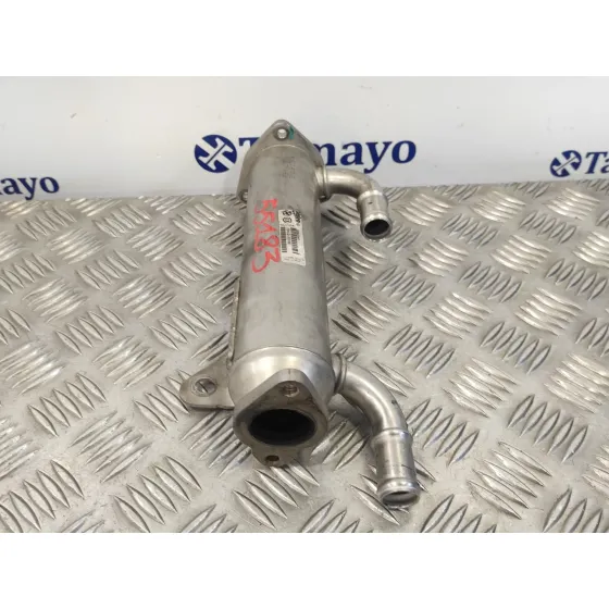Enfriador Egr para Hyundai Santa Fe (Bm)