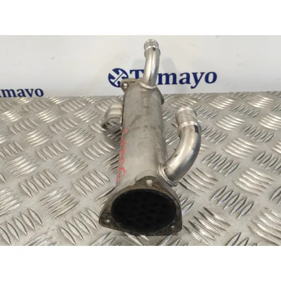 Enfriador Egr para Hyundai Santa Fe (Bm)